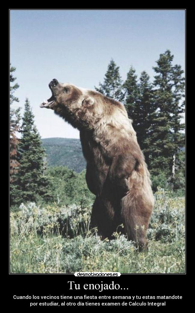 Tu enojado... -