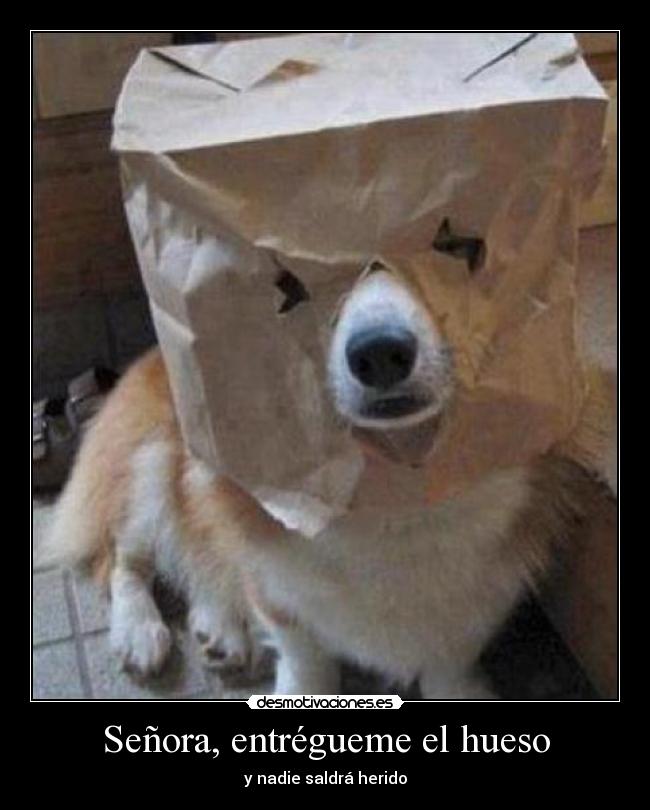 Señora, entrégueme el hueso -