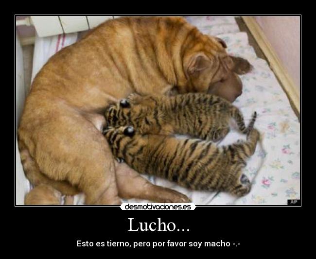 Lucho... -