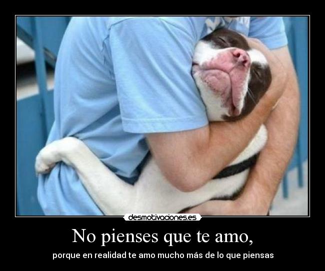 No pienses que te amo, -