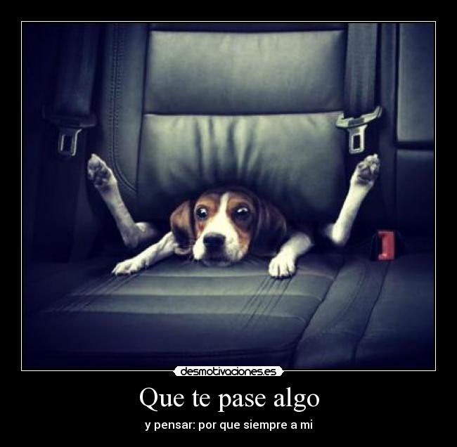 carteles lei vida desmotivaciones