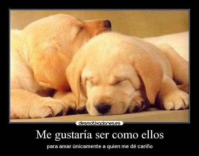 Me gustaría ser como ellos -