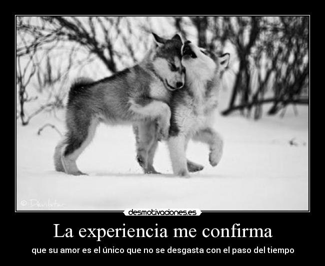 La experiencia me confirma -