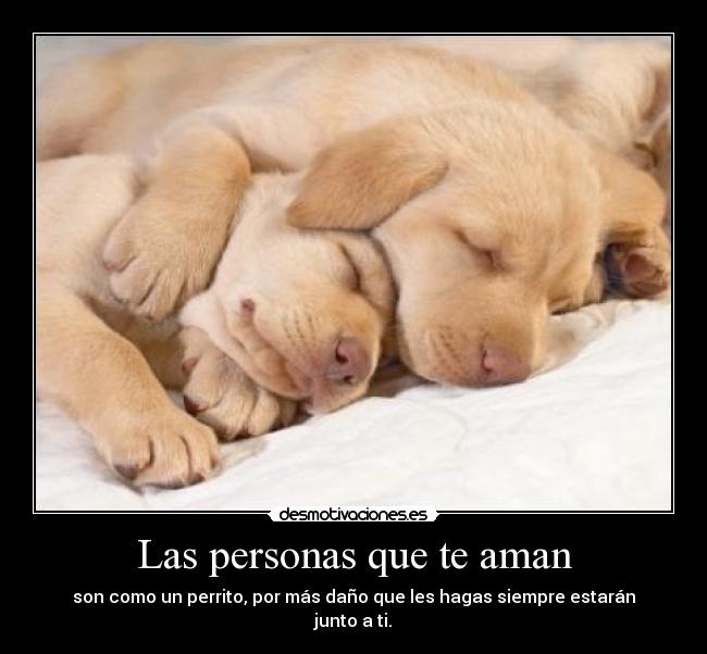 Las personas que te aman -