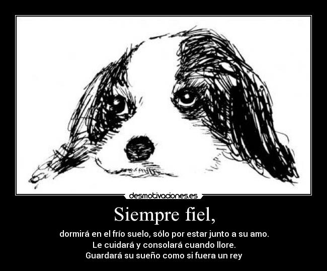 Siempre fiel, - 