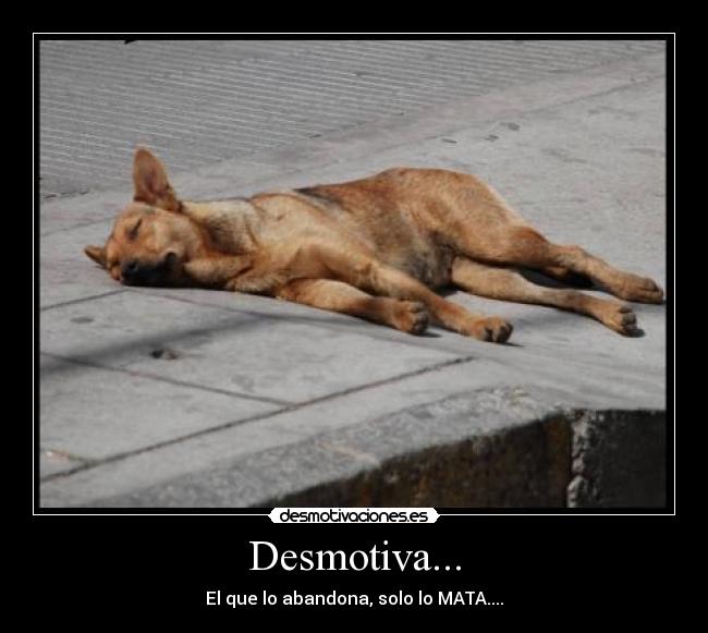Desmotiva... -