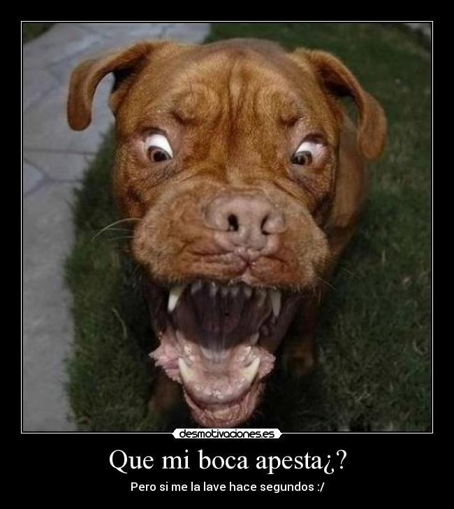 Que mi boca apesta¿? -
