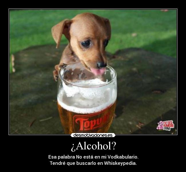 ¿Alcohol? - Esa palabra No está en mi Vodkabulario.
Tendré que buscarlo en Whiskeypedia.