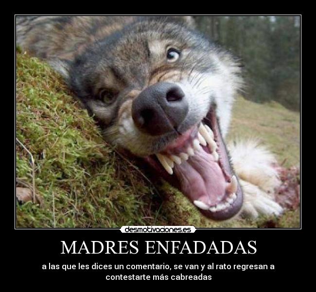 MADRES ENFADADAS - a las que les dices un comentario, se van y al rato regresan a
contestarte más cabreadas