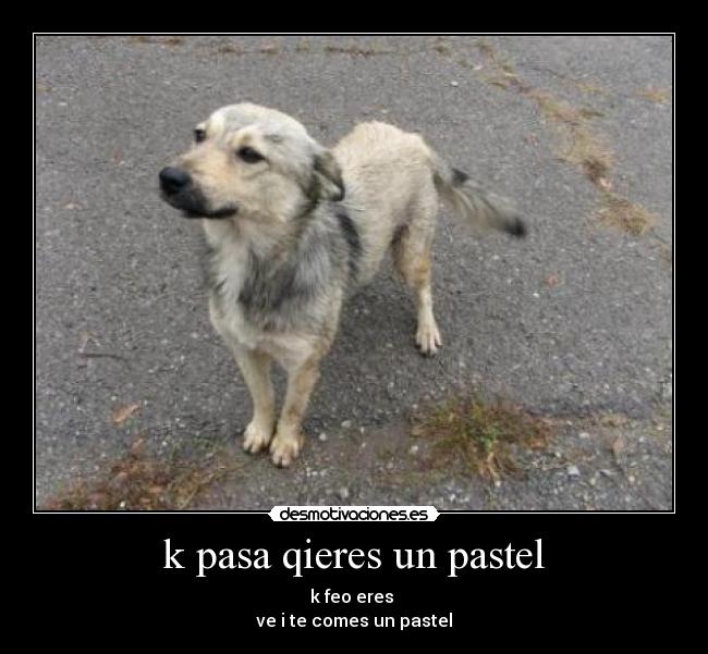 k pasa qieres un pastel - k feo eres
ve i te comes un pastel