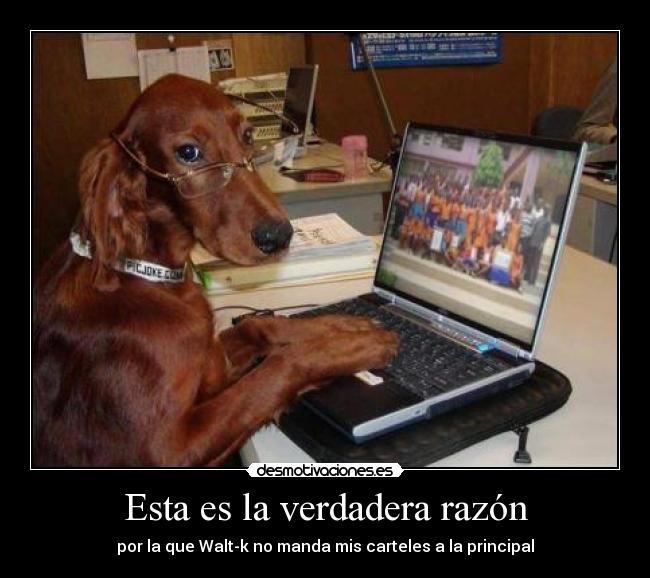 Esta es la verdadera razón - por la que Walt-k no manda mis carteles a la principal