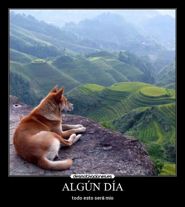 ALGÚN DÍA -