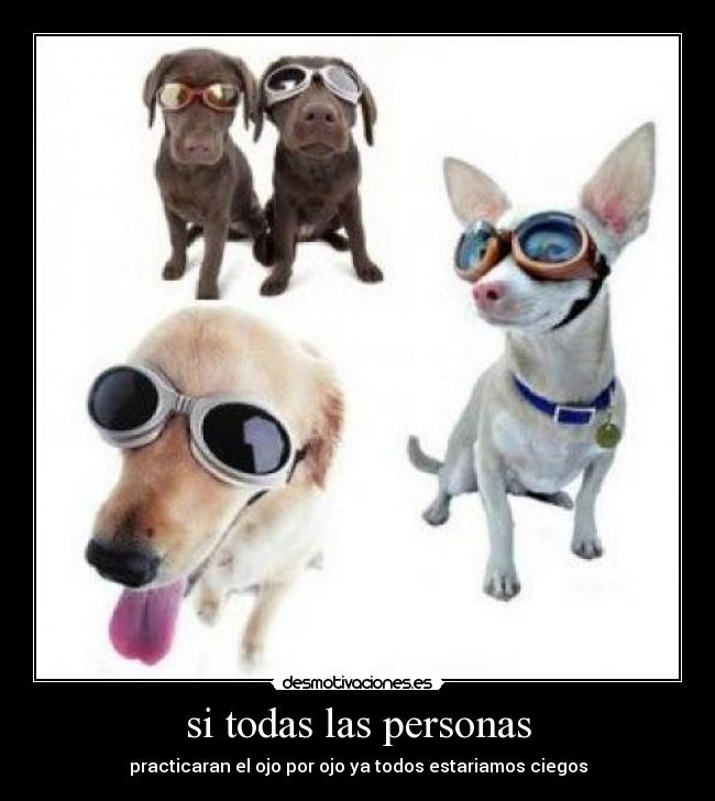 carteles leito desmotivaciones