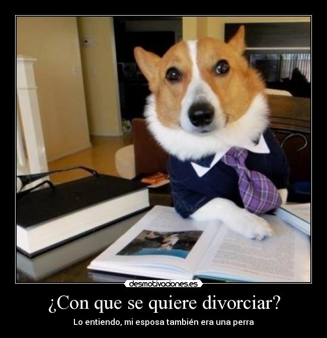 ¿Con que se quiere divorciar? - Lo entiendo, mi esposa también era una perra