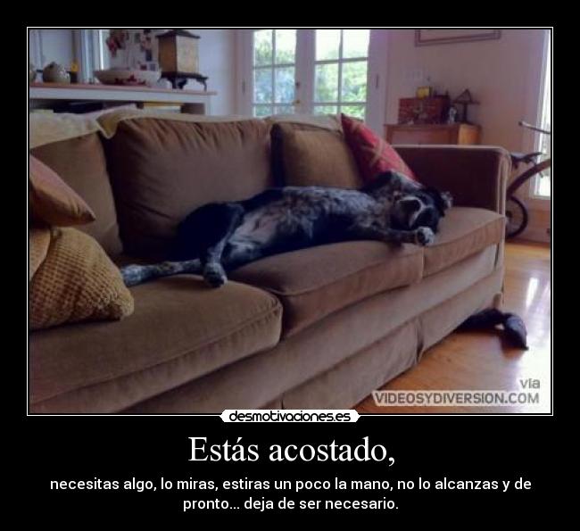 Estás acostado, - necesitas algo, lo miras, estiras un poco la mano, no lo alcanzas y de
pronto... deja de ser necesario.