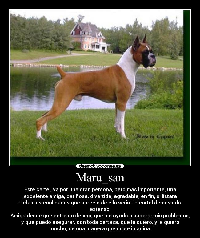 carteles maru san quiero mucho desmotivaciones
