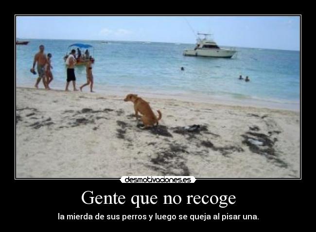 carteles xddddddddddd cartel una hez perro desmotivaciones