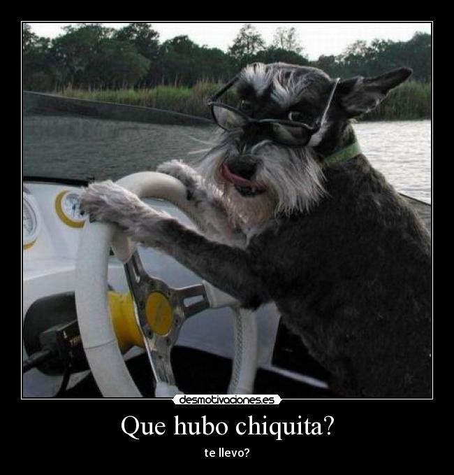 Que hubo chiquita? - 
