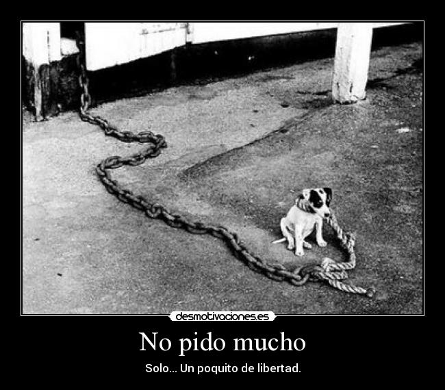 No pido mucho - 