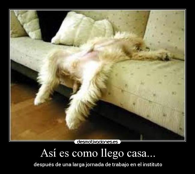 Así es como llego casa... - después de una larga jornada de trabajo en el instituto