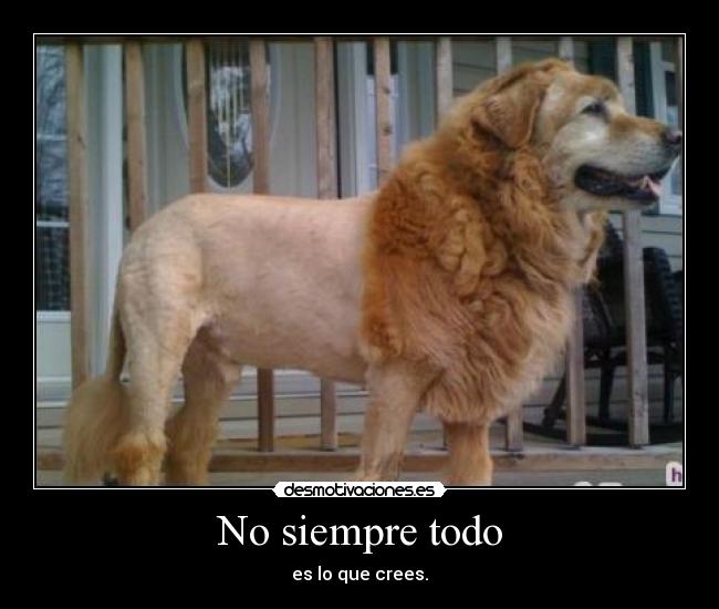No siempre todo - es lo que crees.