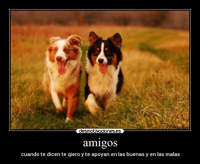 amigos - cuando te dicen te qiero y te apoyan en las buenas y en las malas