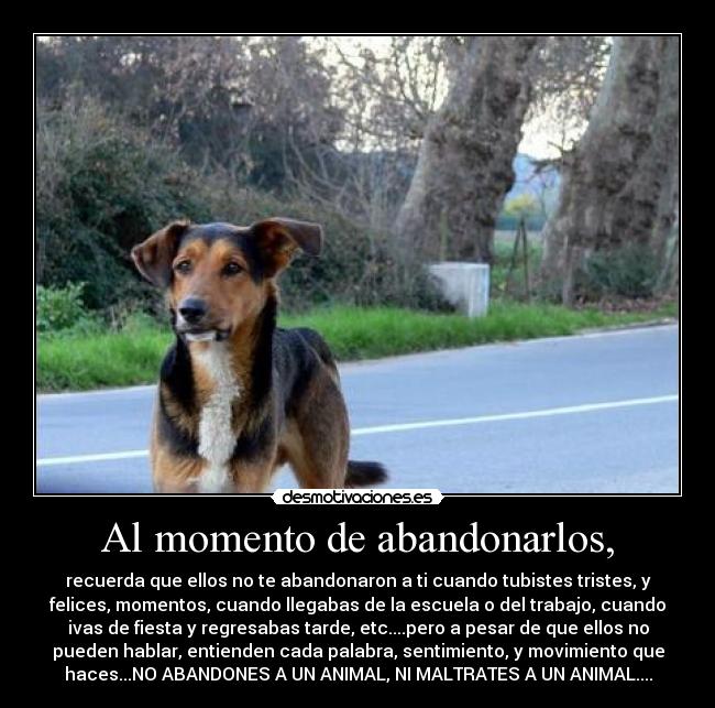 Al momento de abandonarlos, - recuerda que ellos no te abandonaron a ti cuando tubistes tristes, y
felices, momentos, cuando llegabas de la escuela o del trabajo, cuando
ivas de fiesta y regresabas tarde, etc....pero a pesar de que ellos no
pueden hablar, entienden cada palabra, sentimiento, y movimiento que
haces...NO ABANDONES A UN ANIMAL, NI MALTRATES A UN ANIMAL....