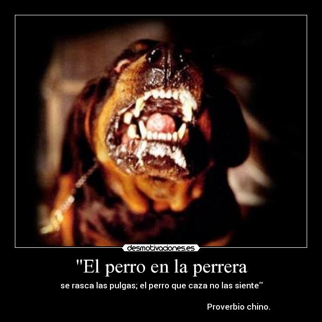 El perro en la perrera - 