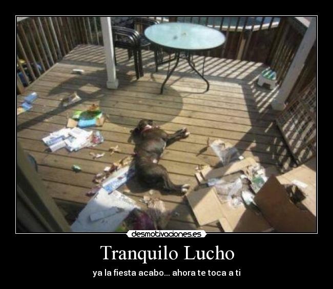 Tranquilo Lucho - 