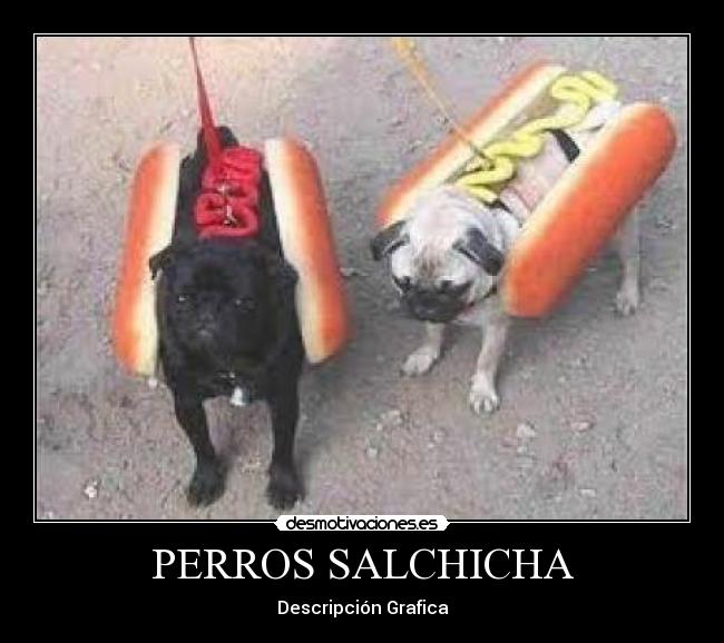 PERROS SALCHICHA -