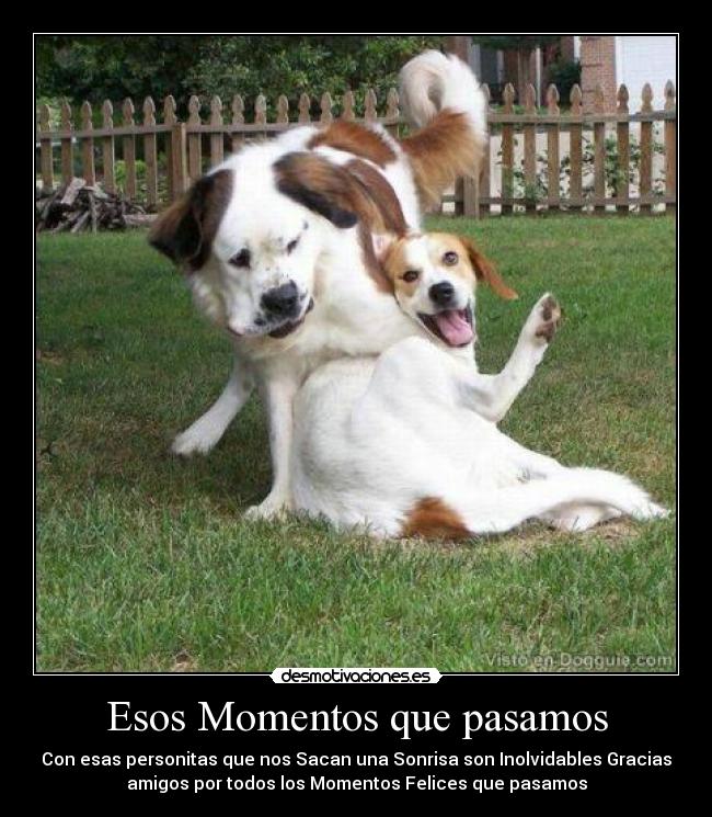 Esos Momentos que pasamos - Con esas personitas que nos Sacan una Sonrisa son Inolvidables Gracias
amigos por todos los Momentos Felices que pasamos