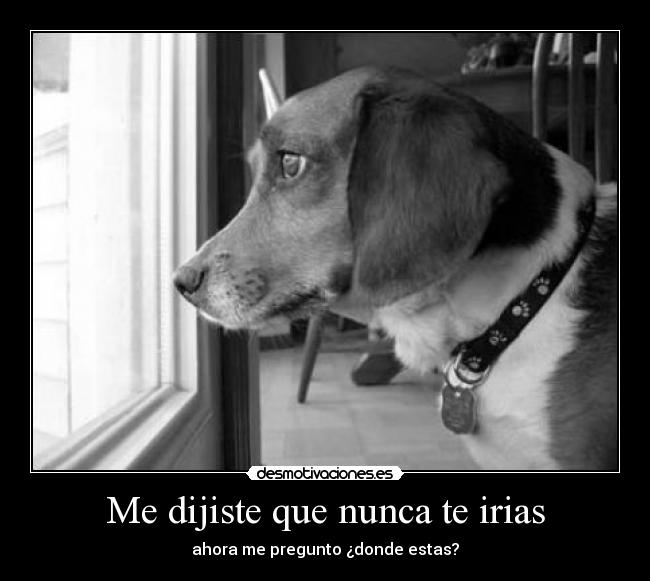 Me dijiste que nunca te irias -