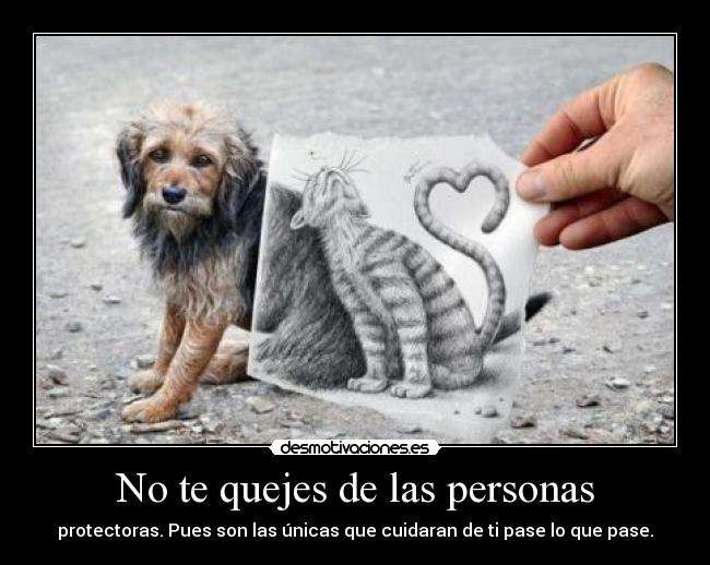 No te quejes de las personas - protectoras. Pues son las únicas que cuidaran de ti pase lo que pase.