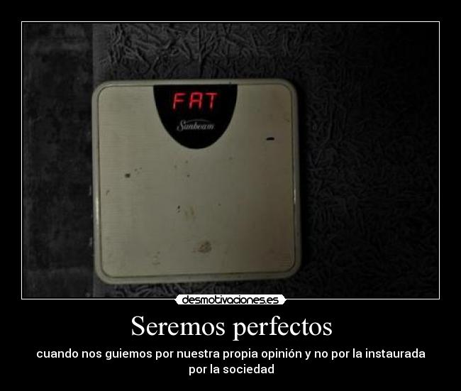 Seremos perfectos -