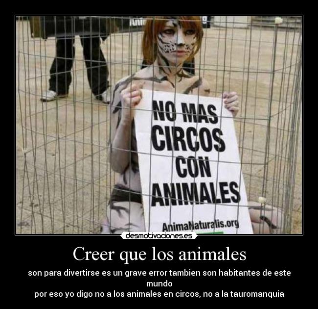 Creer que los animales -