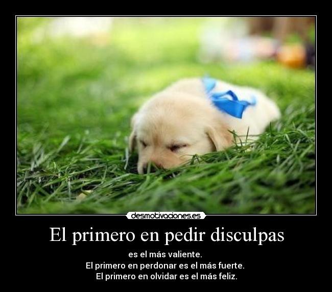 El primero en pedir disculpas - es el más valiente.
El primero en perdonar es el más fuerte.
El primero en olvidar es el más feliz.