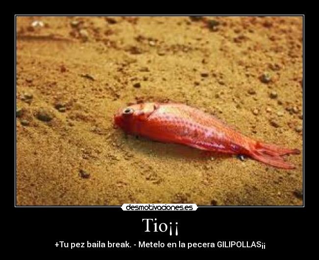 Tio¡¡ - +Tu pez baila break. - Metelo en la pecera GILIPOLLAS¡¡