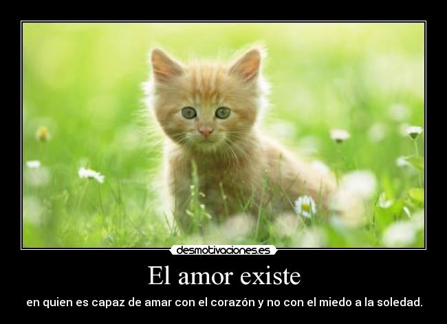 El amor existe - 