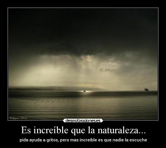 Es increíble que la naturaleza... - pida ayuda a gritos, pero mas increíble es que nadie la escuche