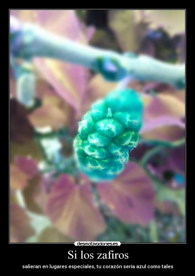Si los zafiros -