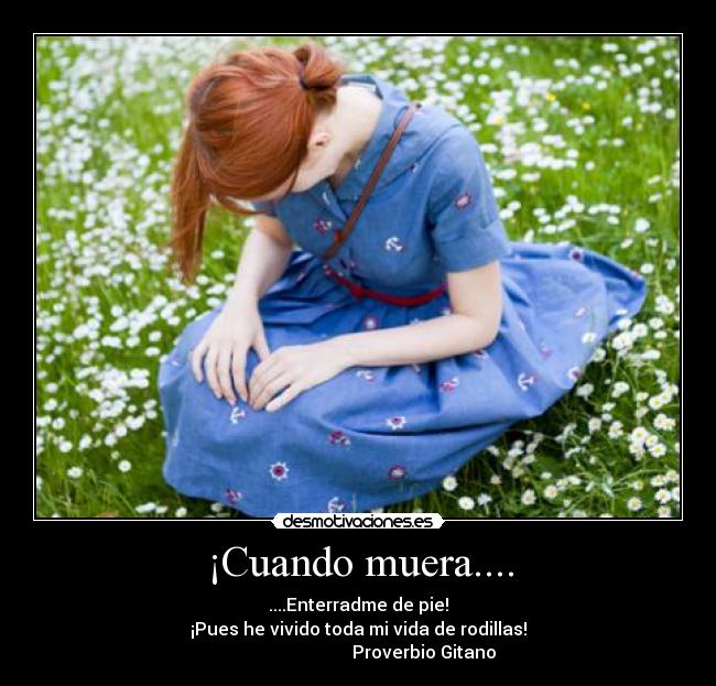 carteles proverbio gitano desmotivaciones