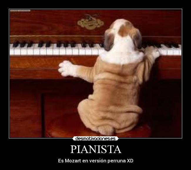 PIANISTA - 