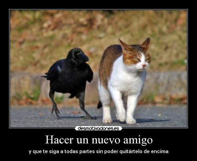 Hacer un nuevo amigo - 