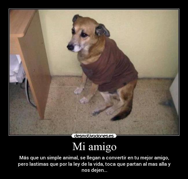 Mi amigo -