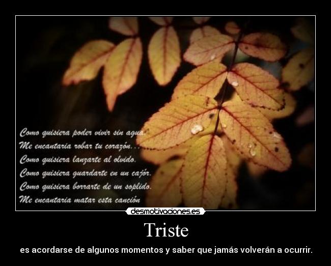 Triste - es acordarse de algunos momentos y saber que jamás volverán a ocurrir.