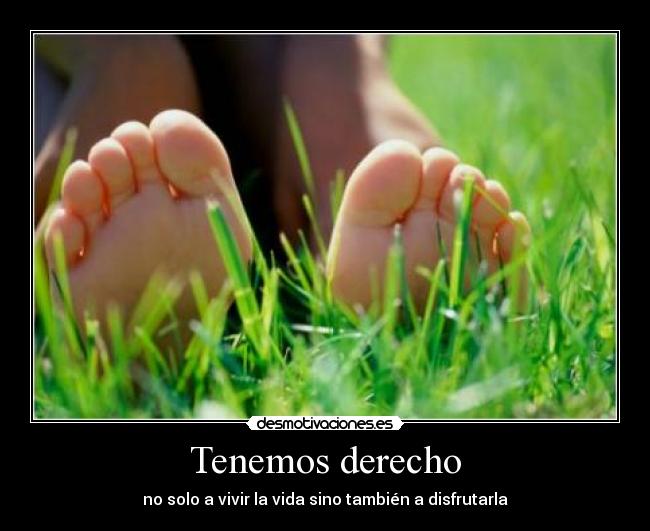 carteles nuestro derecho desmotivaciones