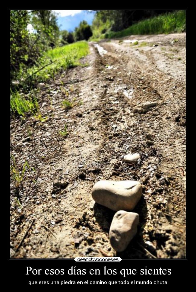 Por esos días en los que sientes - que eres una piedra en el camino que todo el mundo chuta.