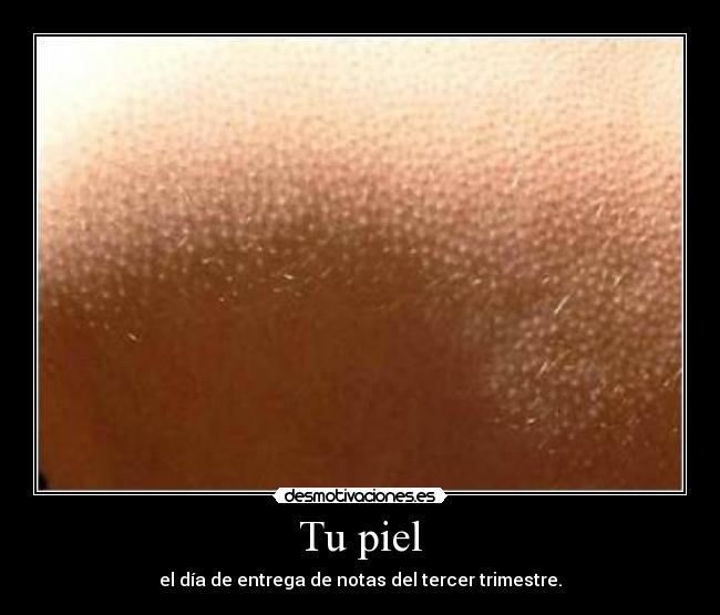 Tu piel -