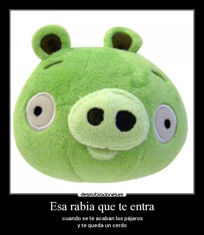 Esa rabia que te entra - cuando se te acaban los pájaros
y te queda un cerdo