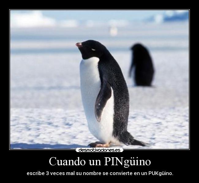 carteles pinguinos everywhere desmotivaciones